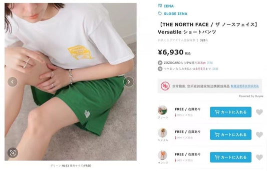 TNF 刺繡梭織短褲