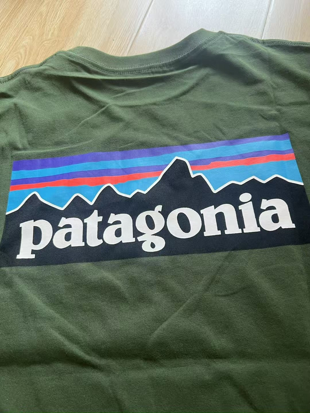 Patagonia logo tee