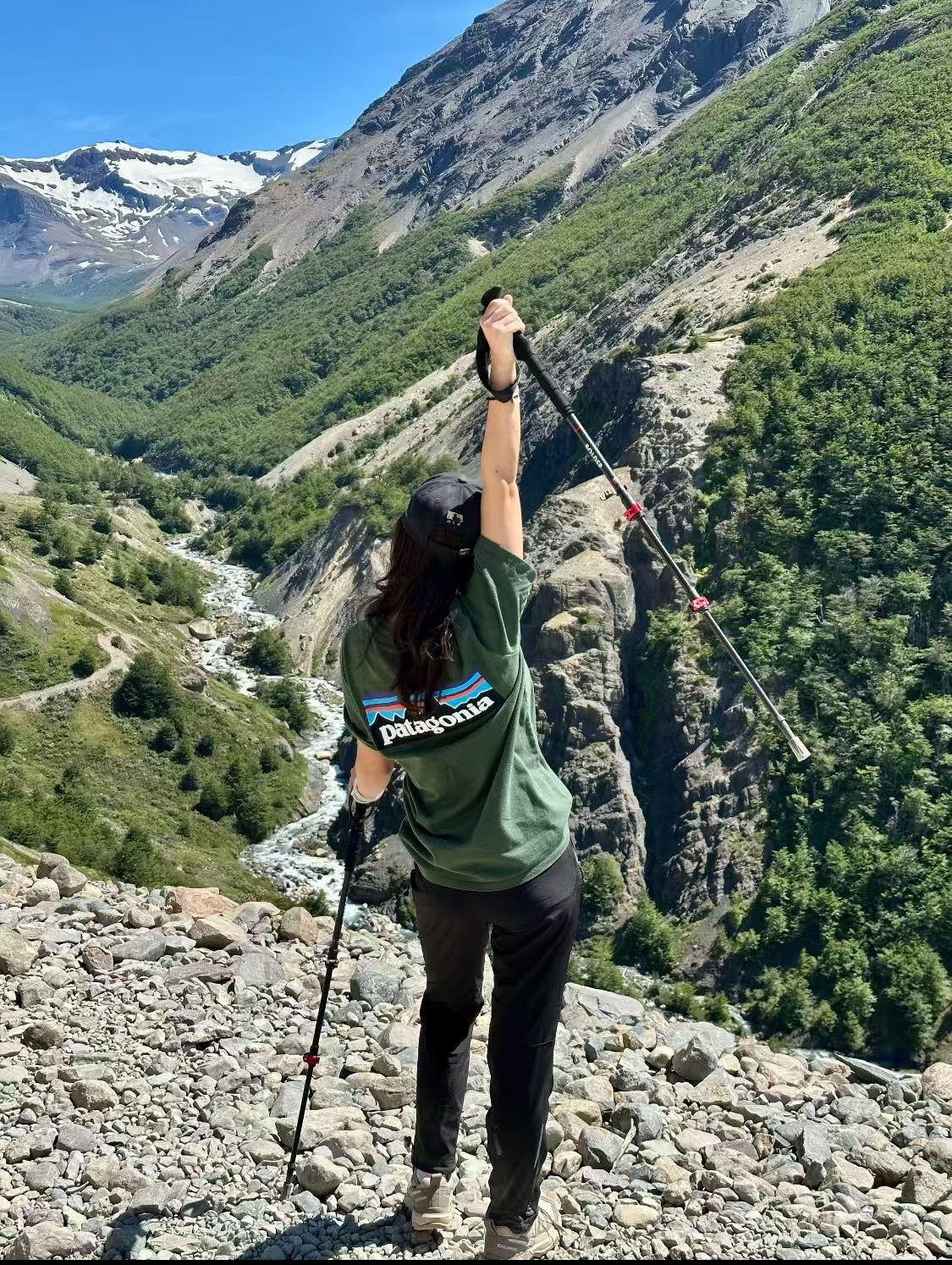 Patagonia logo tee