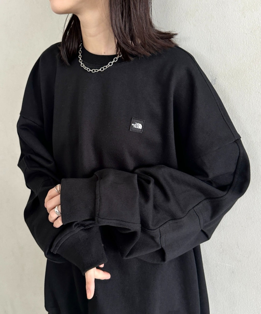 The north face 刺繡衛衣