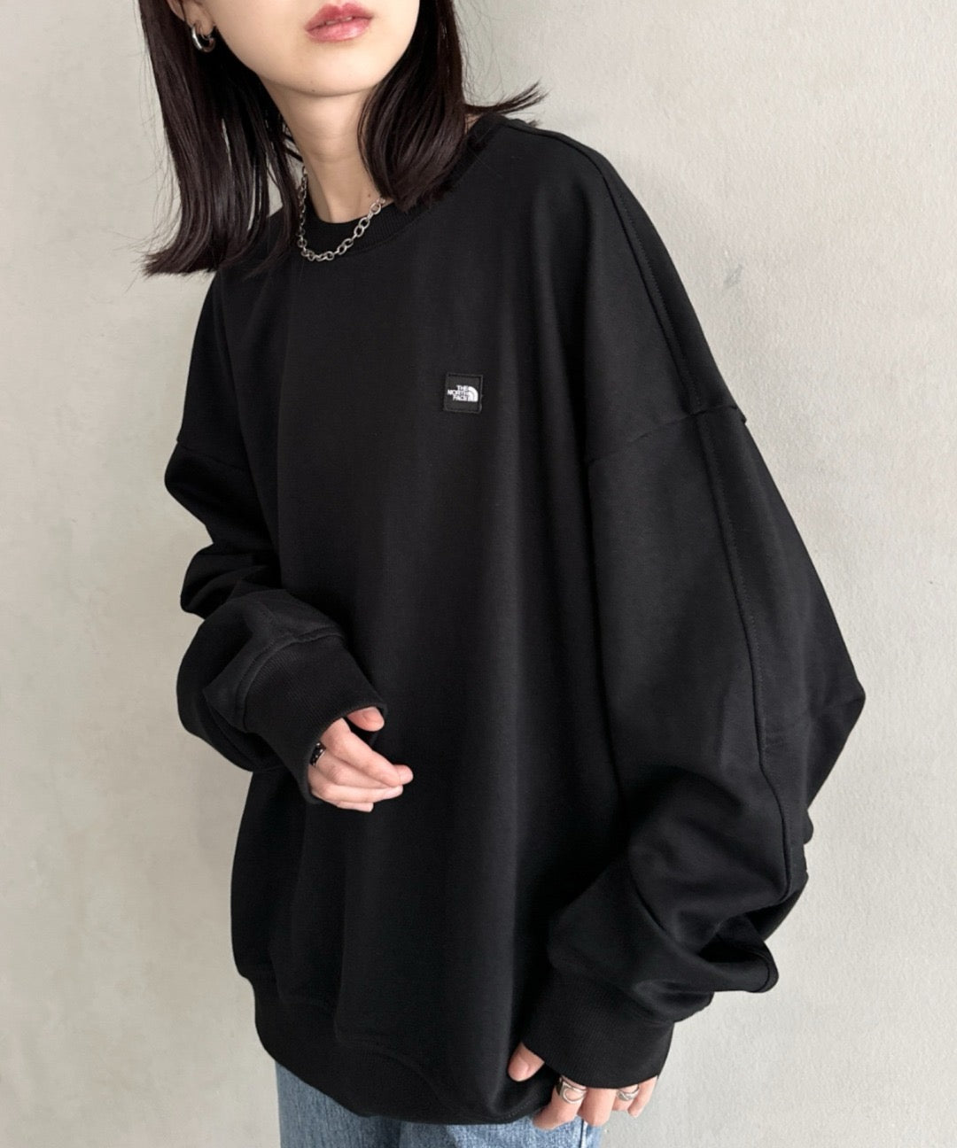 The north face 刺繡衛衣
