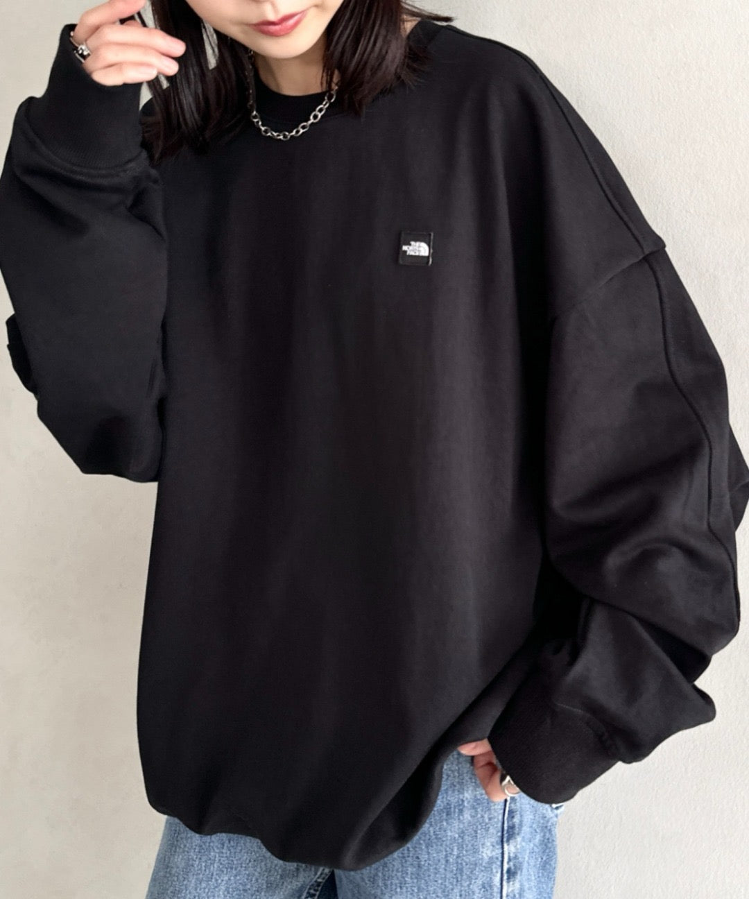 The north face 刺繡衛衣