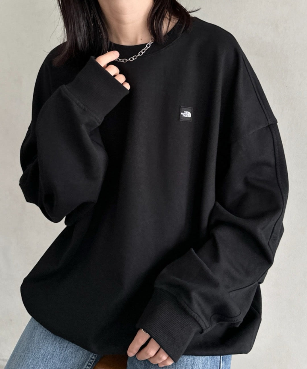 The north face 刺繡衛衣