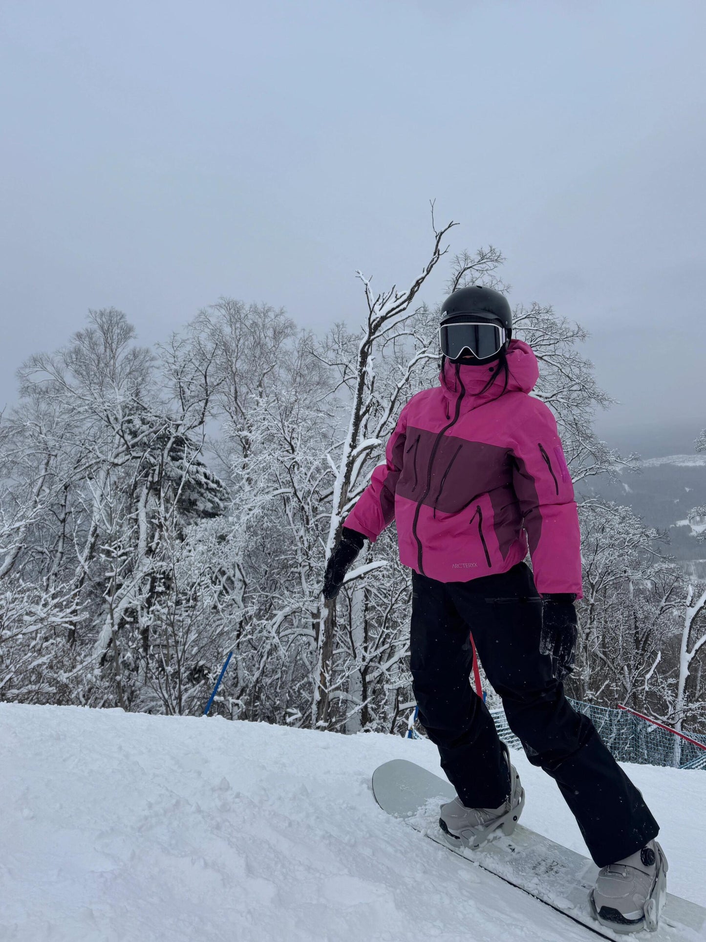 Arcteryx Gero tex down