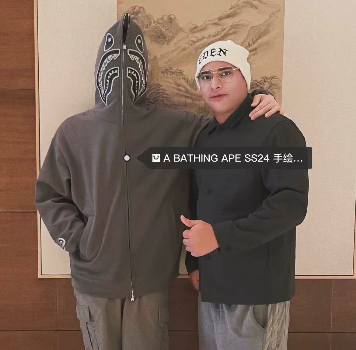 A bathing ape hoodies jacket