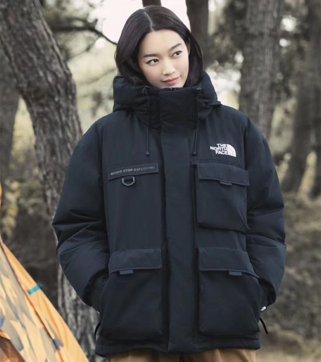 The North Face防風防水羽絨