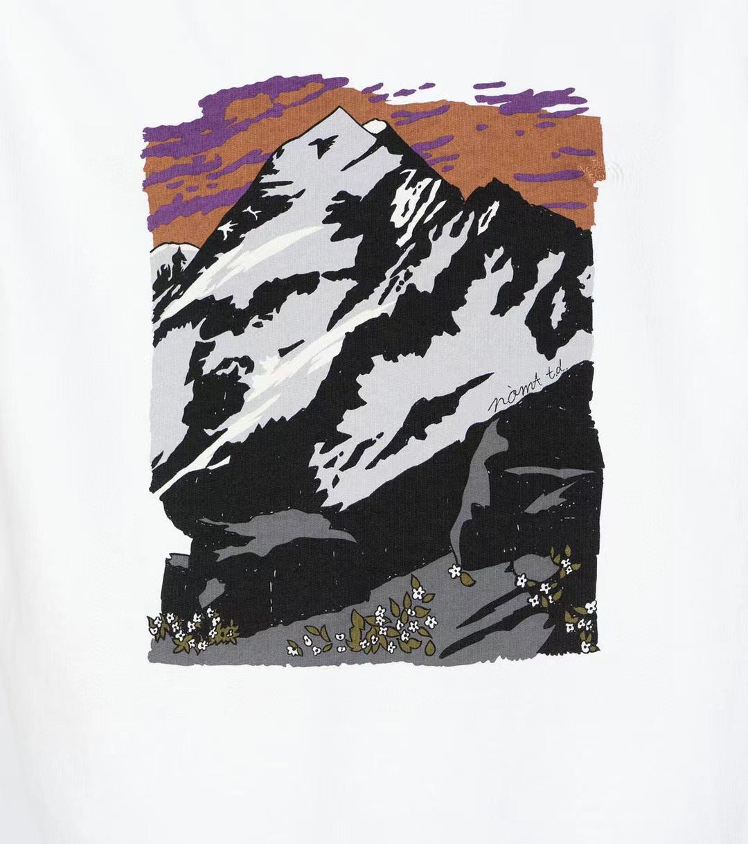 TNF mountain hoodies