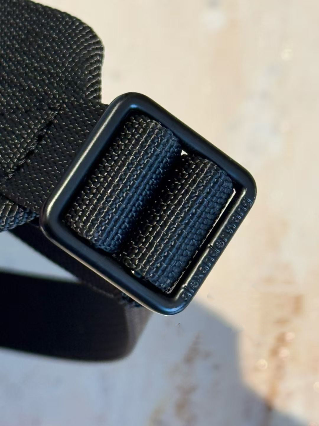 Alexander wang backpack