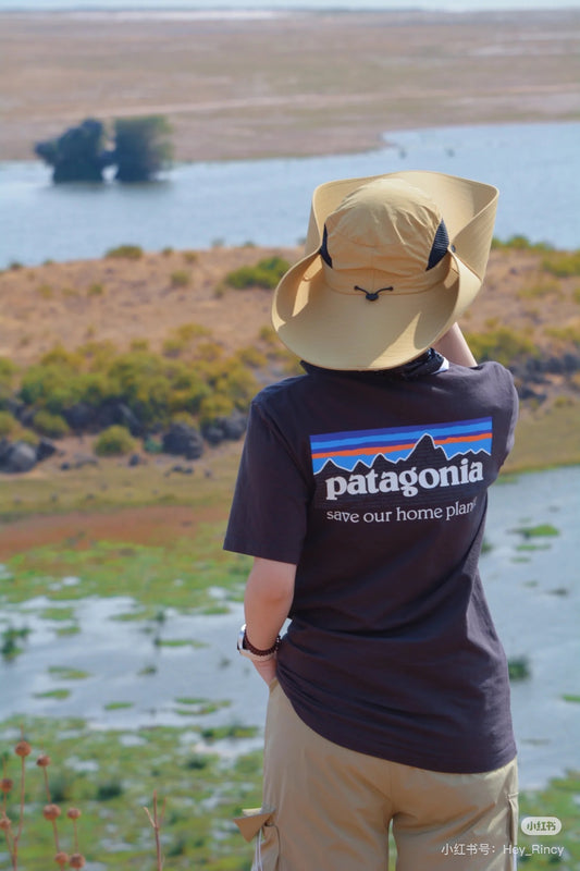 Patagonia colourful tee