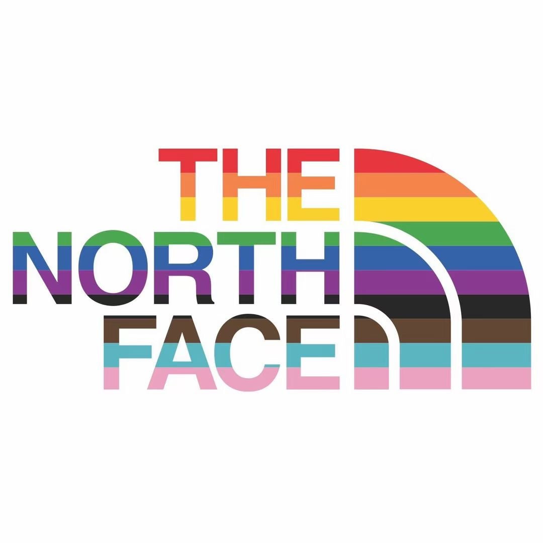 TNF rainbow tee