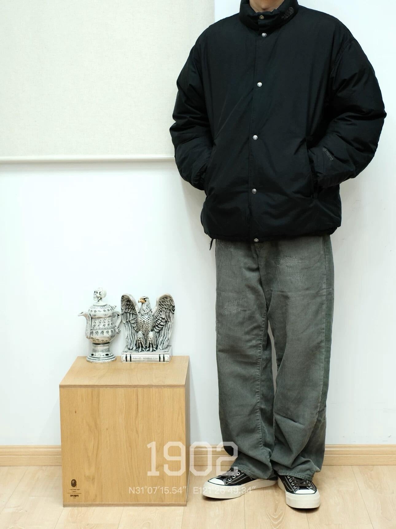 The north face Gore tex winds stopper down