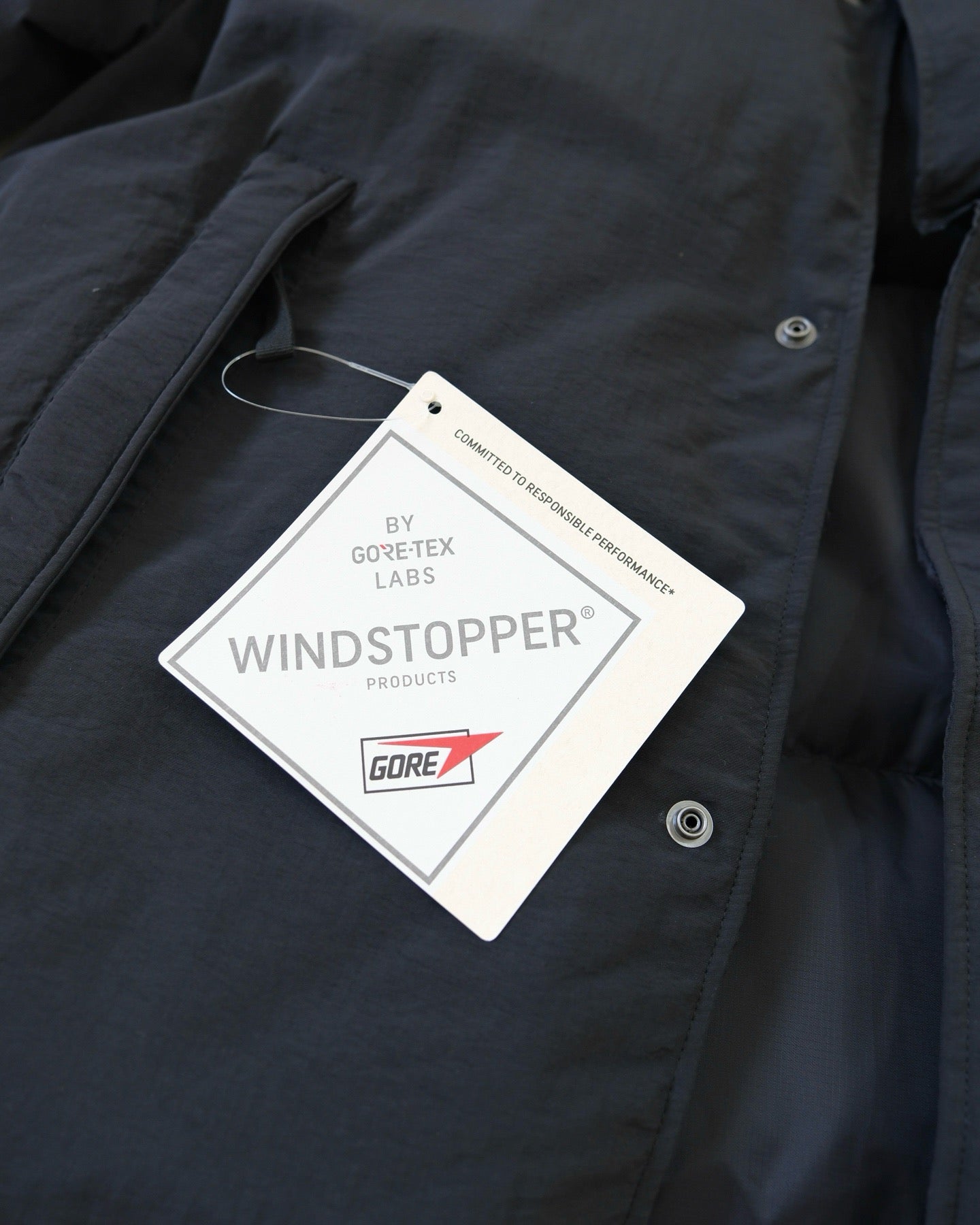 The north face Gore tex winds stopper down