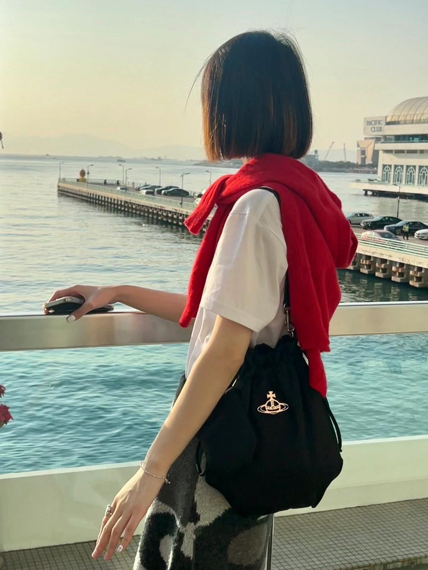 Vivienne Westwood hobo bag