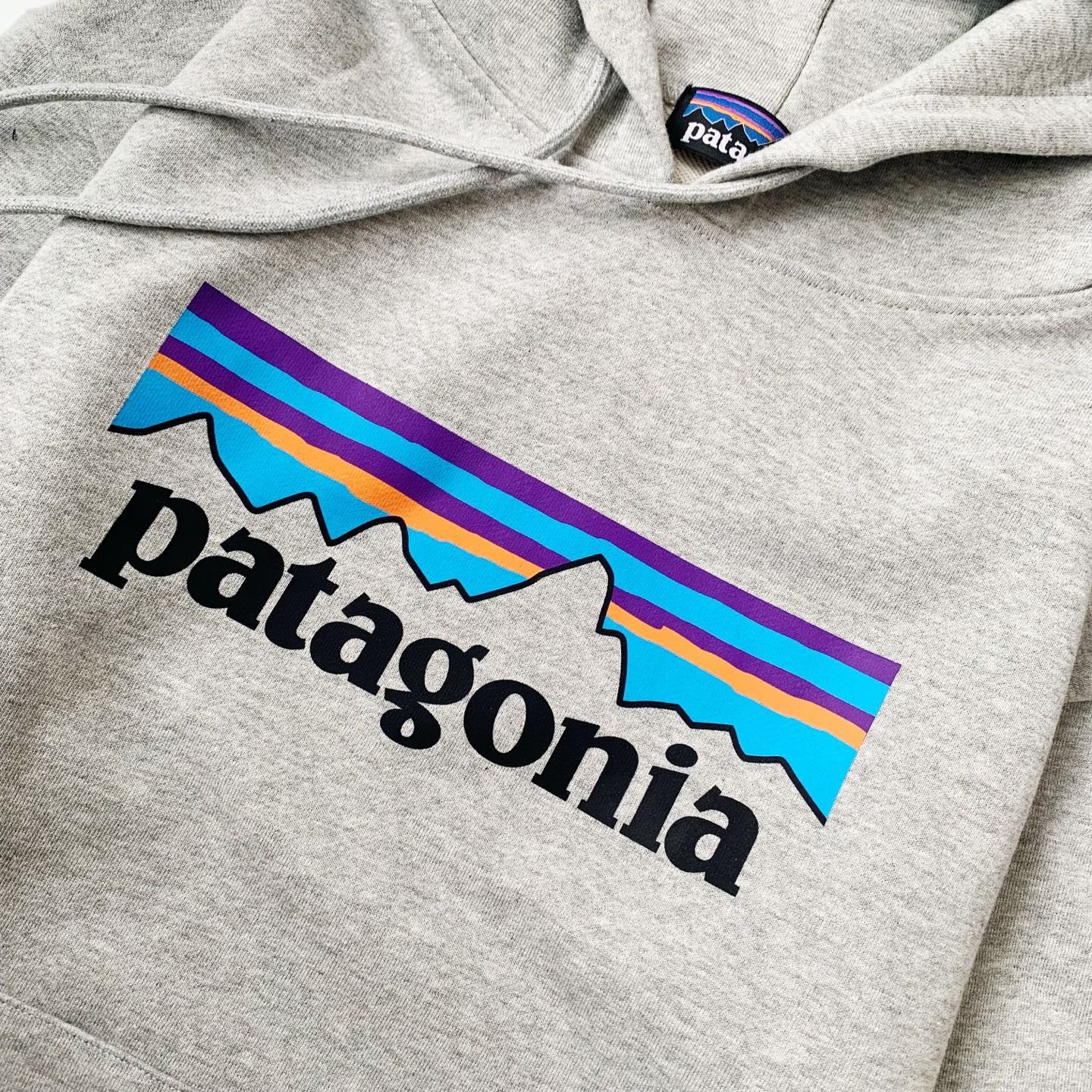 Patagonia logo hoodies