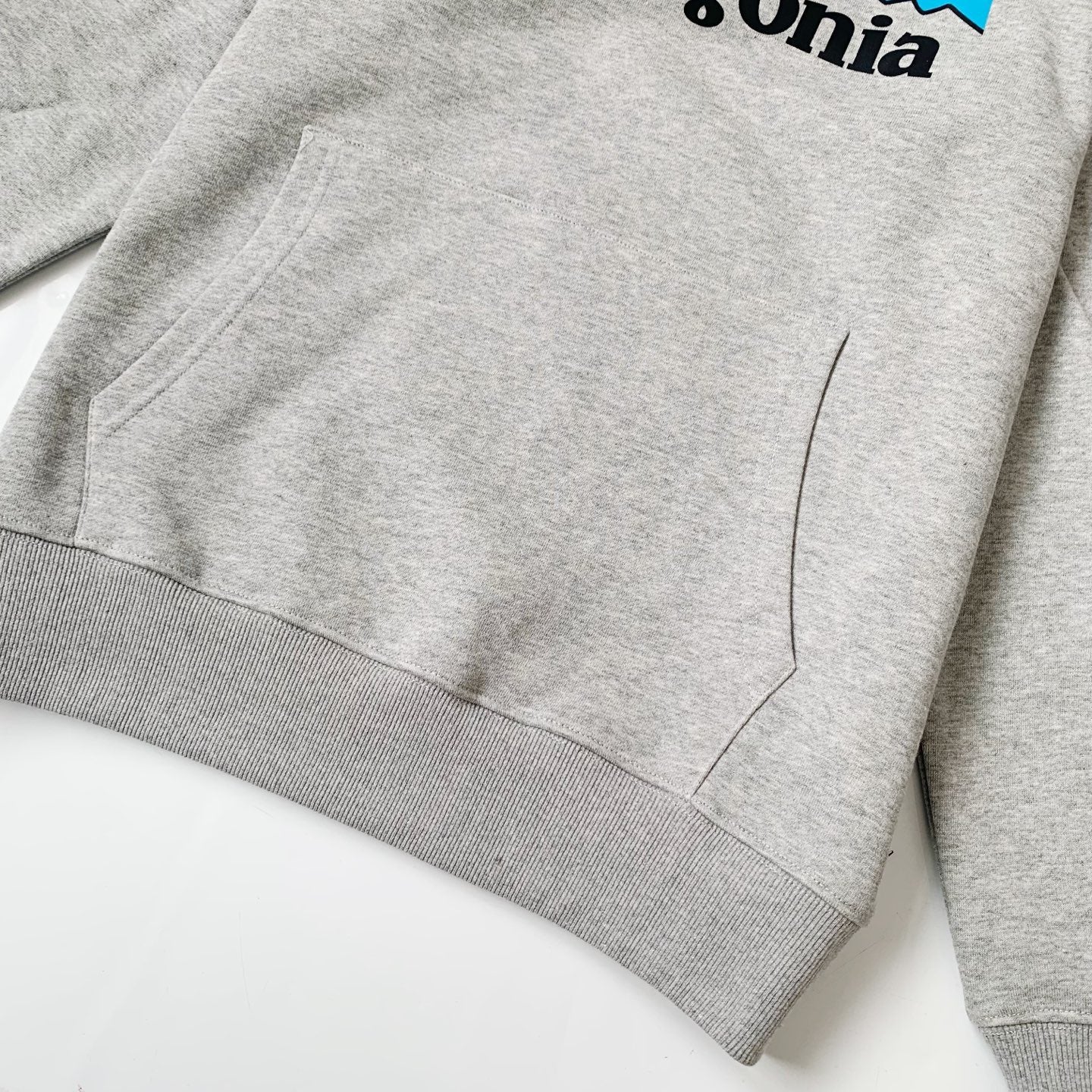Patagonia logo hoodies