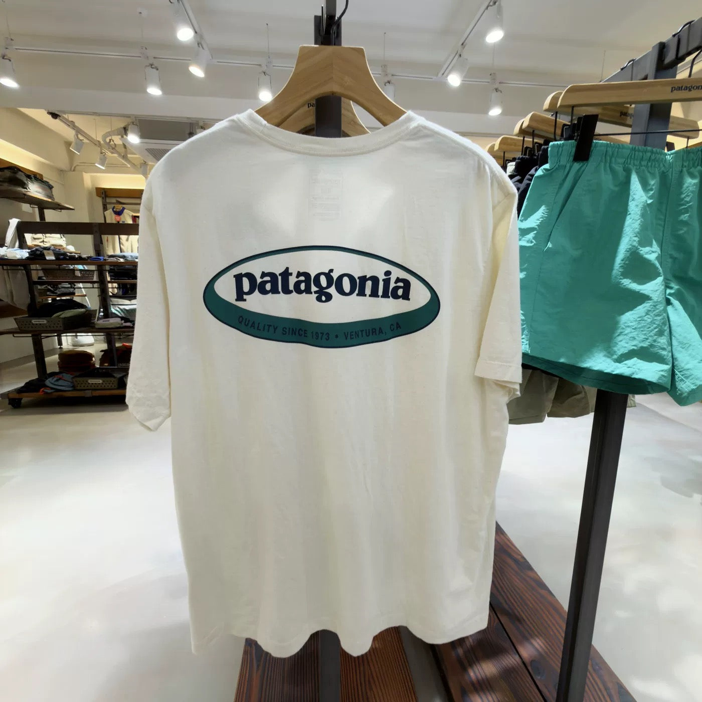 Patagonia logo tee