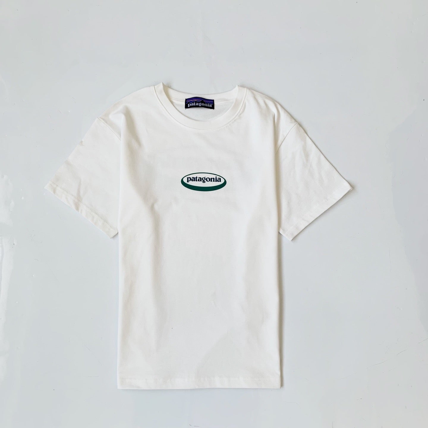 Patagonia logo tee