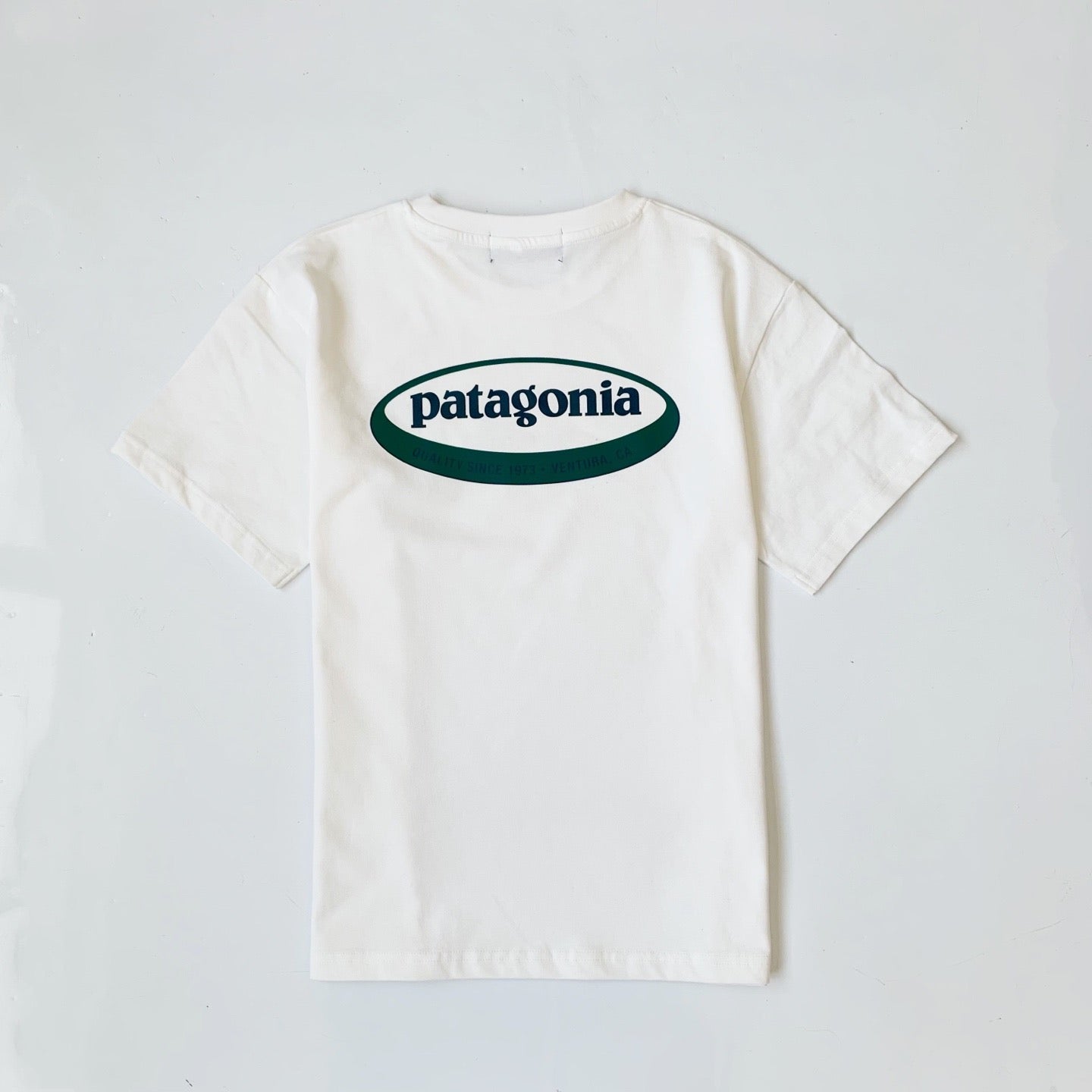 Patagonia logo tee