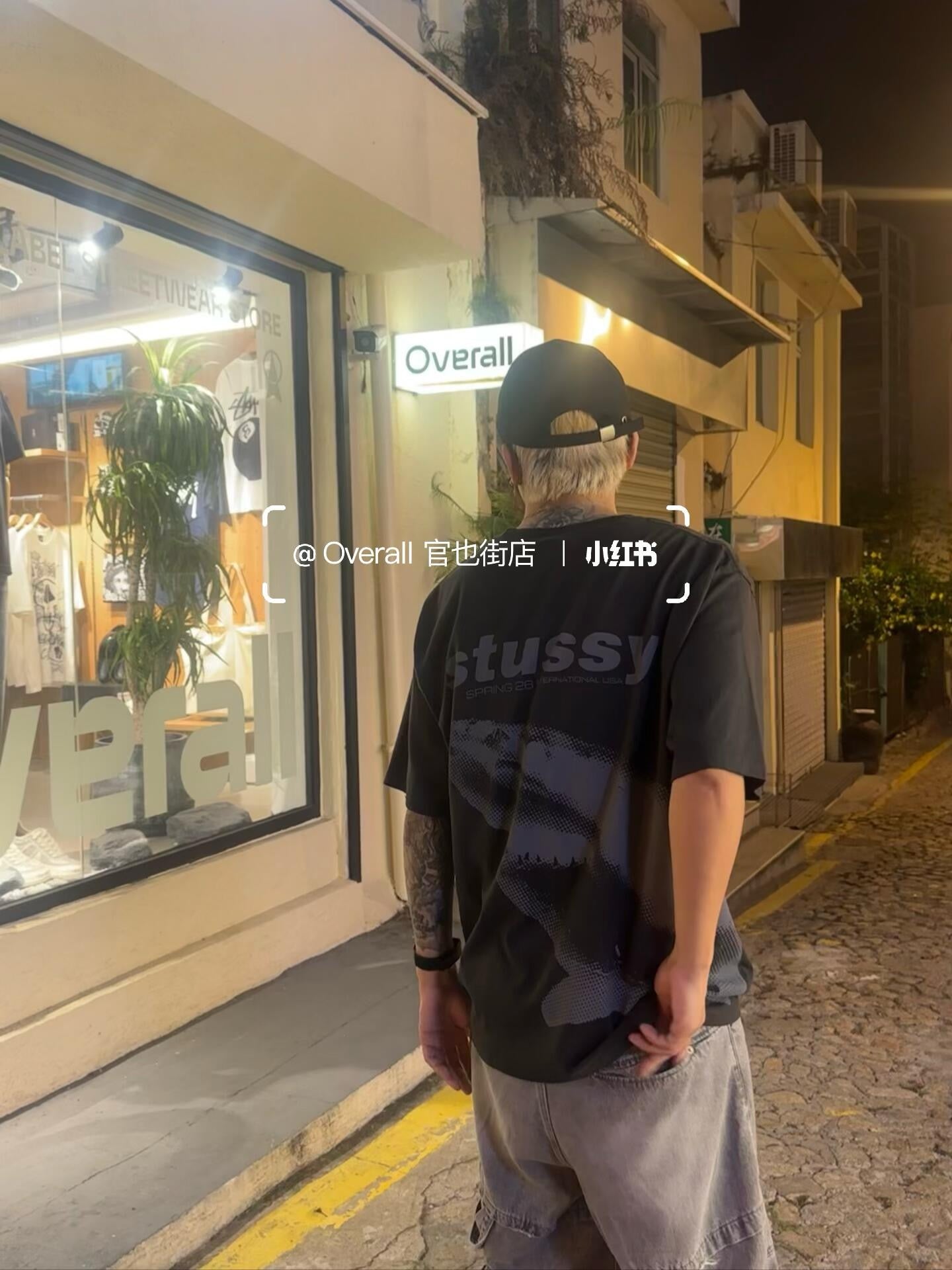 Stussy shark tee