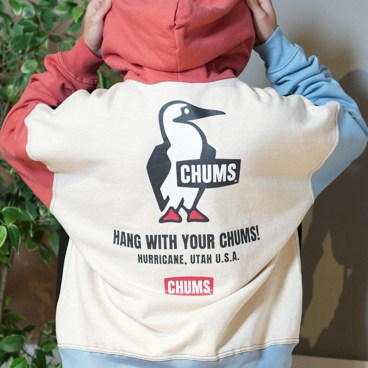 Chums hoodies