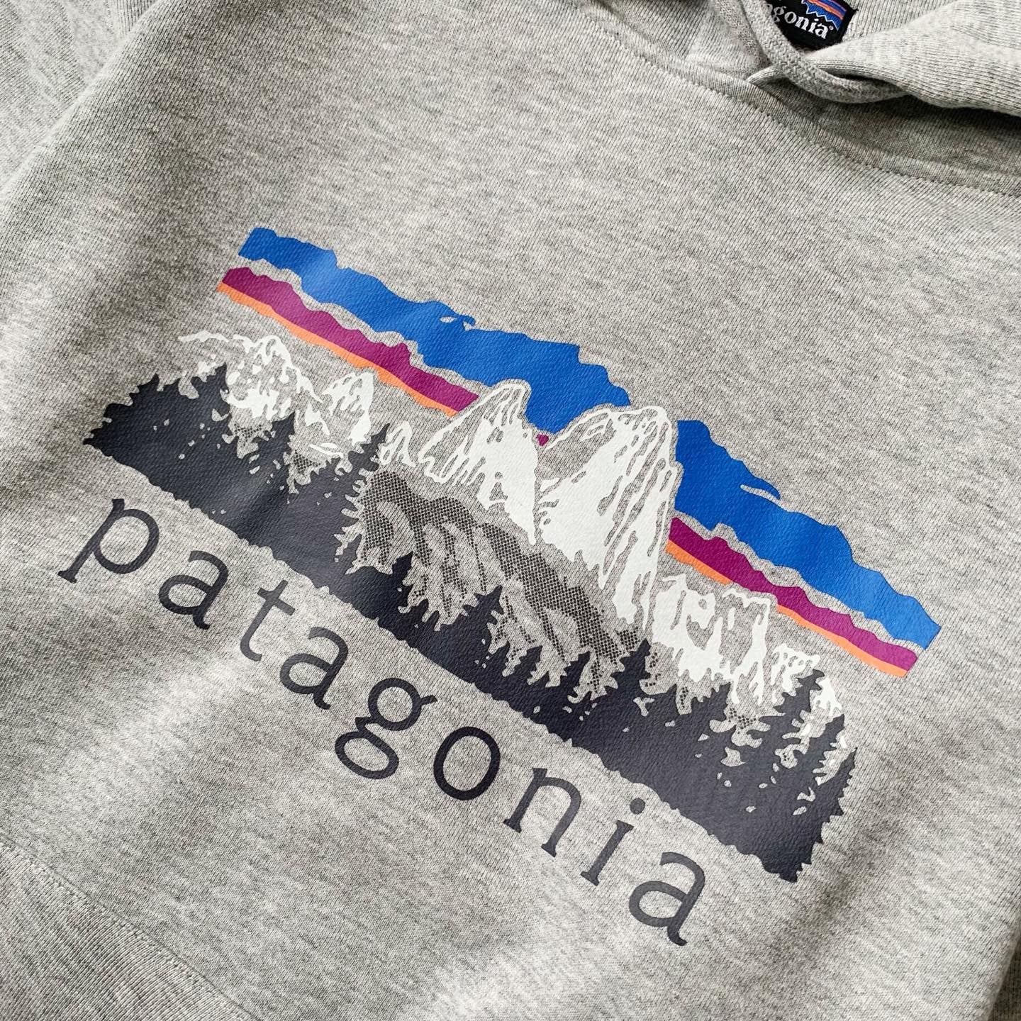 Patagonia hoodies