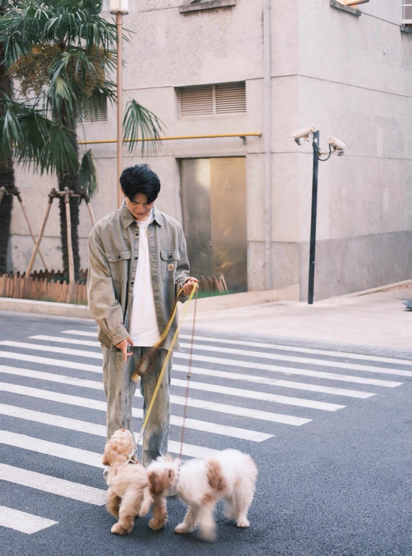 Carhartt 牛仔外套