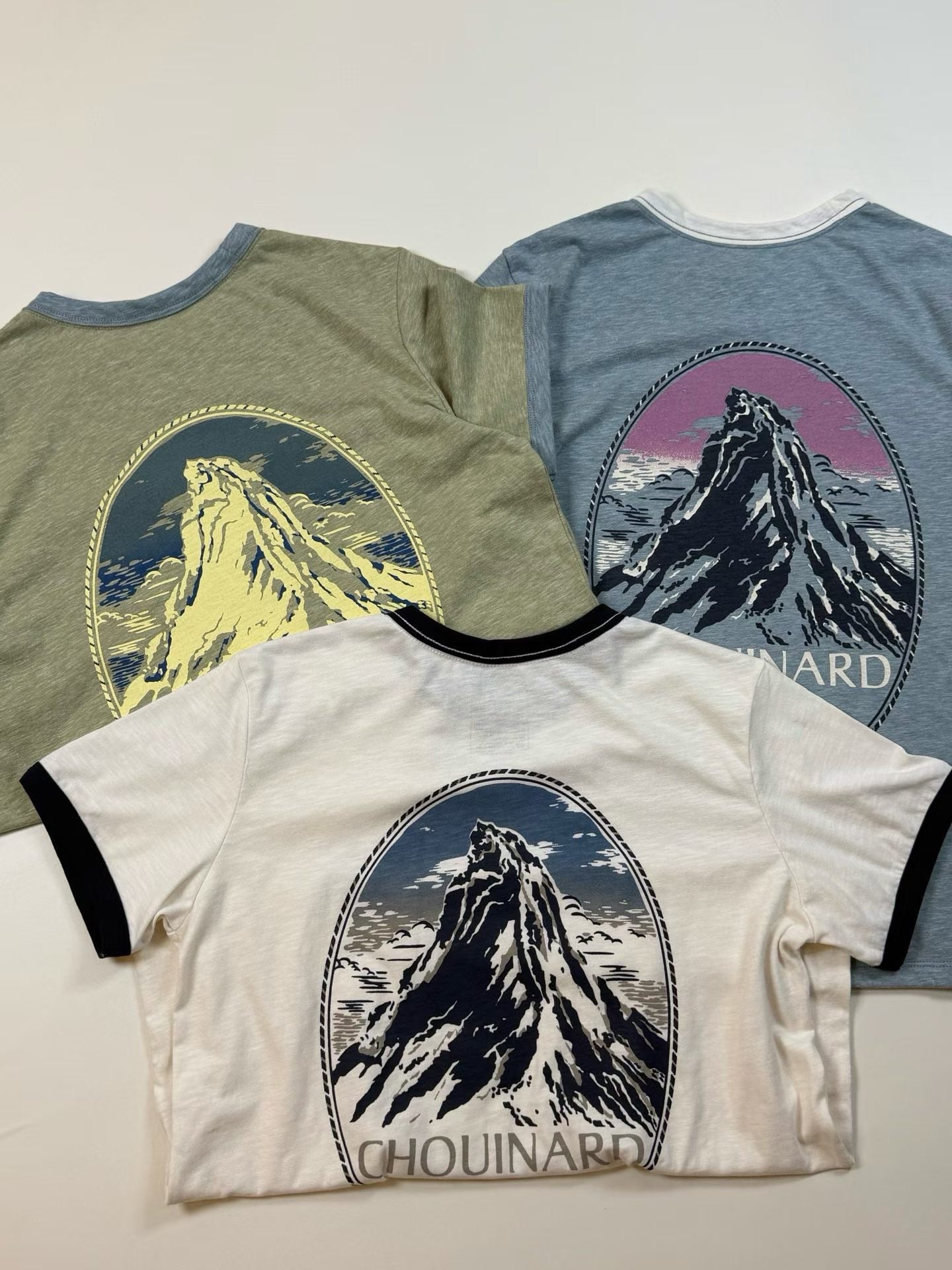 Patagonia logo tee
